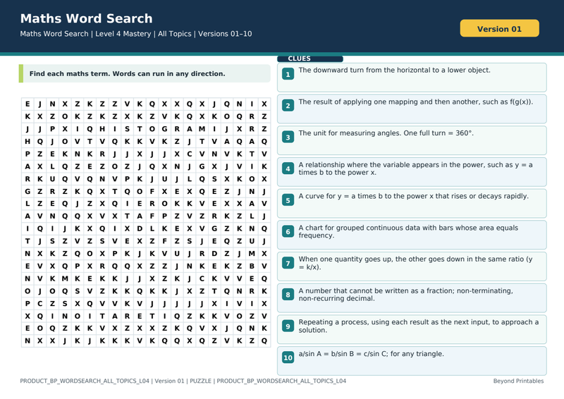 All Topics Level 4 Maths Word Search | 10 Printable Vocabulary Puzzles with Solutions — puzzle preview