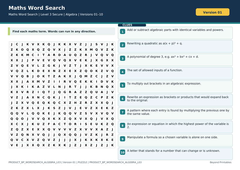 Algebra Level 3 Maths Word Search | 10 Printable Vocabulary Puzzles with Solutions — puzzle preview