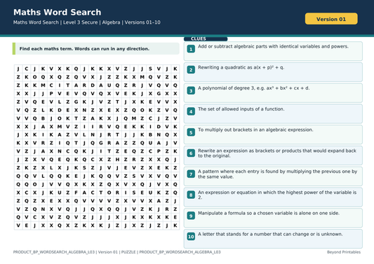Algebra Level 3 Maths Word Search | 10 Printable Vocabulary Puzzles with Solutions — puzzle preview