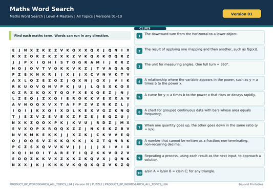 All Topics Level 4 Maths Word Search | 10 Printable Vocabulary Puzzles with Solutions — puzzle preview