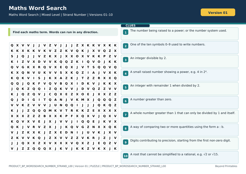Number Strand Maths Word Search | 10 Printable Vocabulary Puzzles with Solutions — puzzle preview